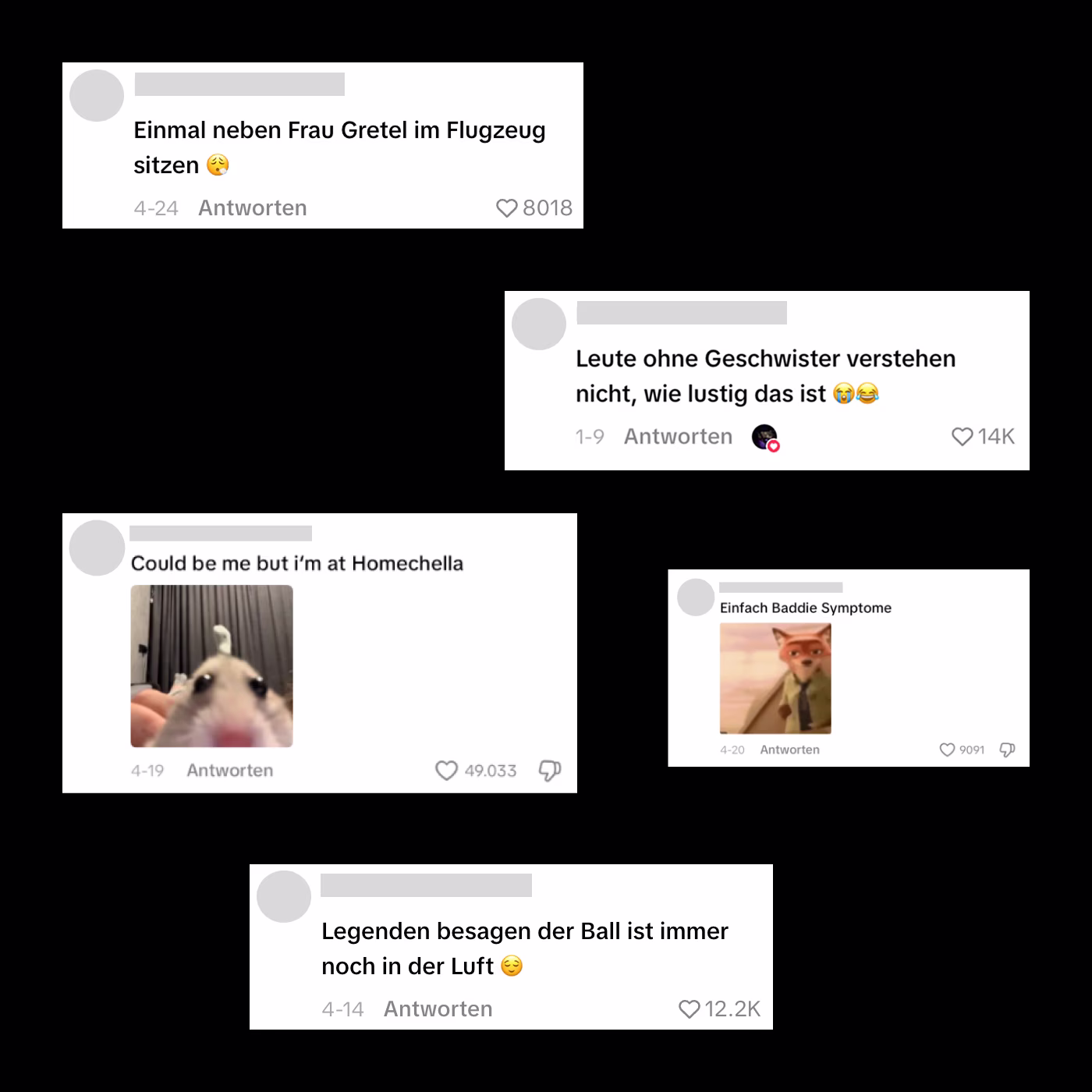 Fünf Social-Media-Kommentare in Deutsch und Englisch, darunter Tiere und lustige Sprüche.