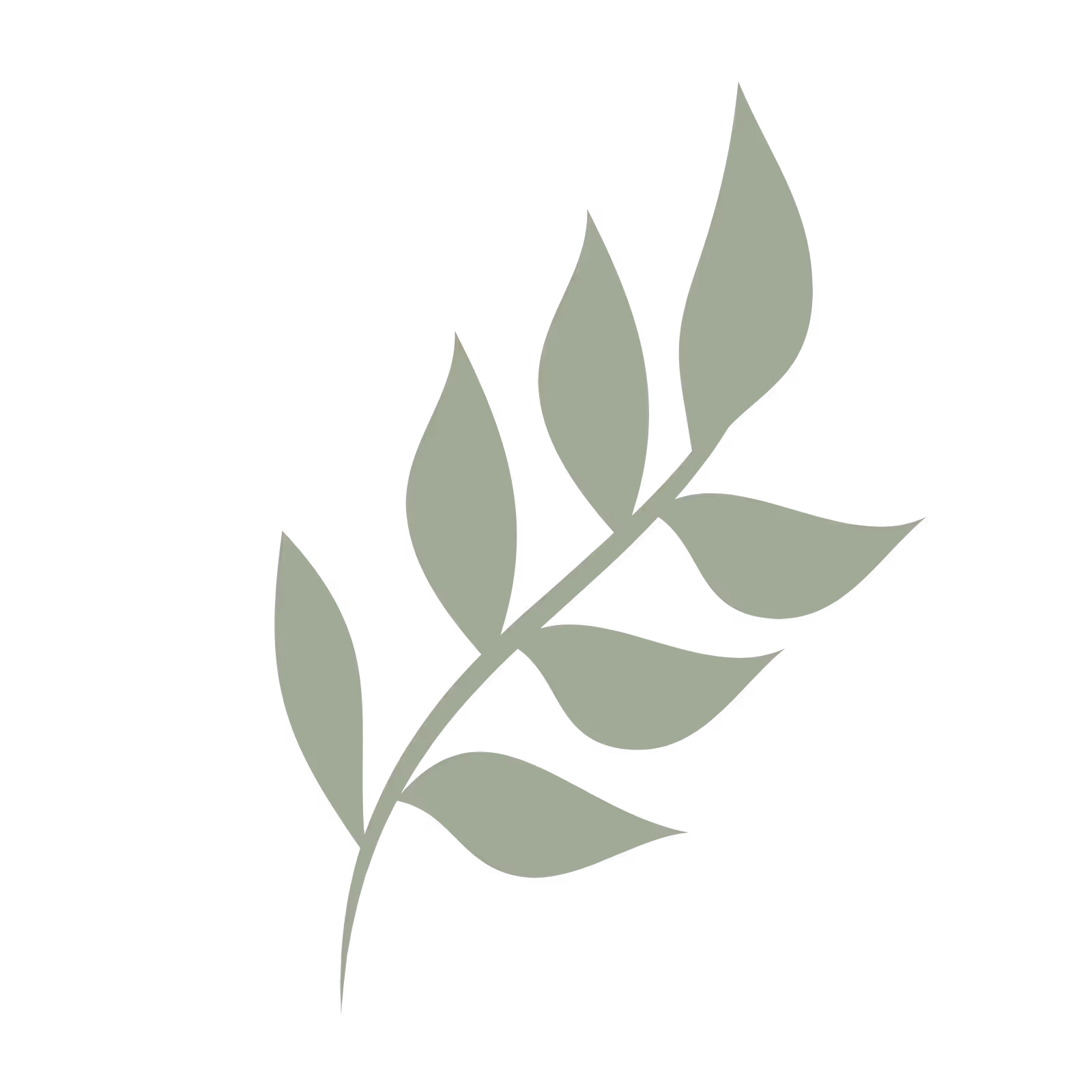 Green leaf branch icon