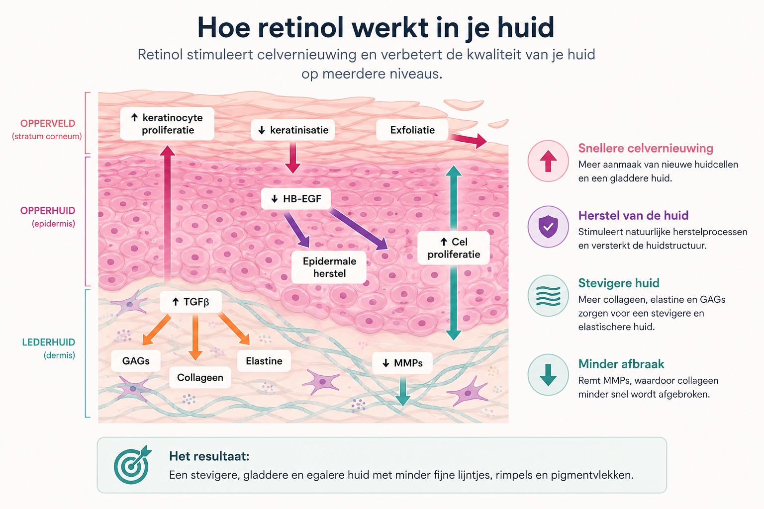 Retinol: de wetenschap achter een van de meest onderzochte ingrediënten voor huidverbetering
