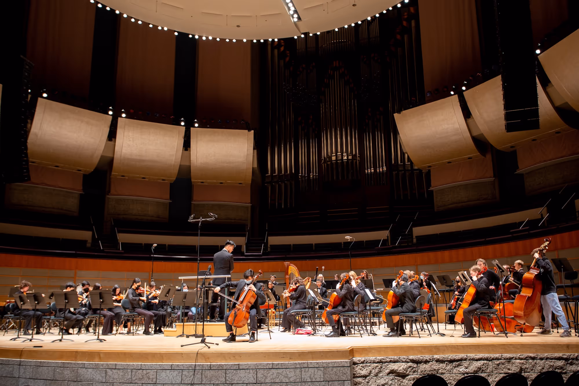 the orchestra playing in the Winspeare