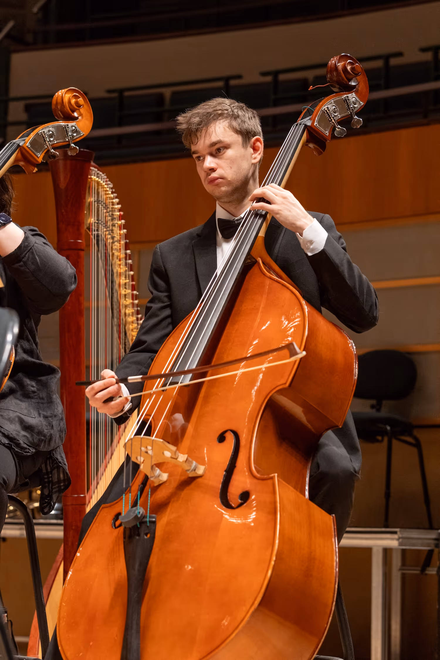 A standup bassist
