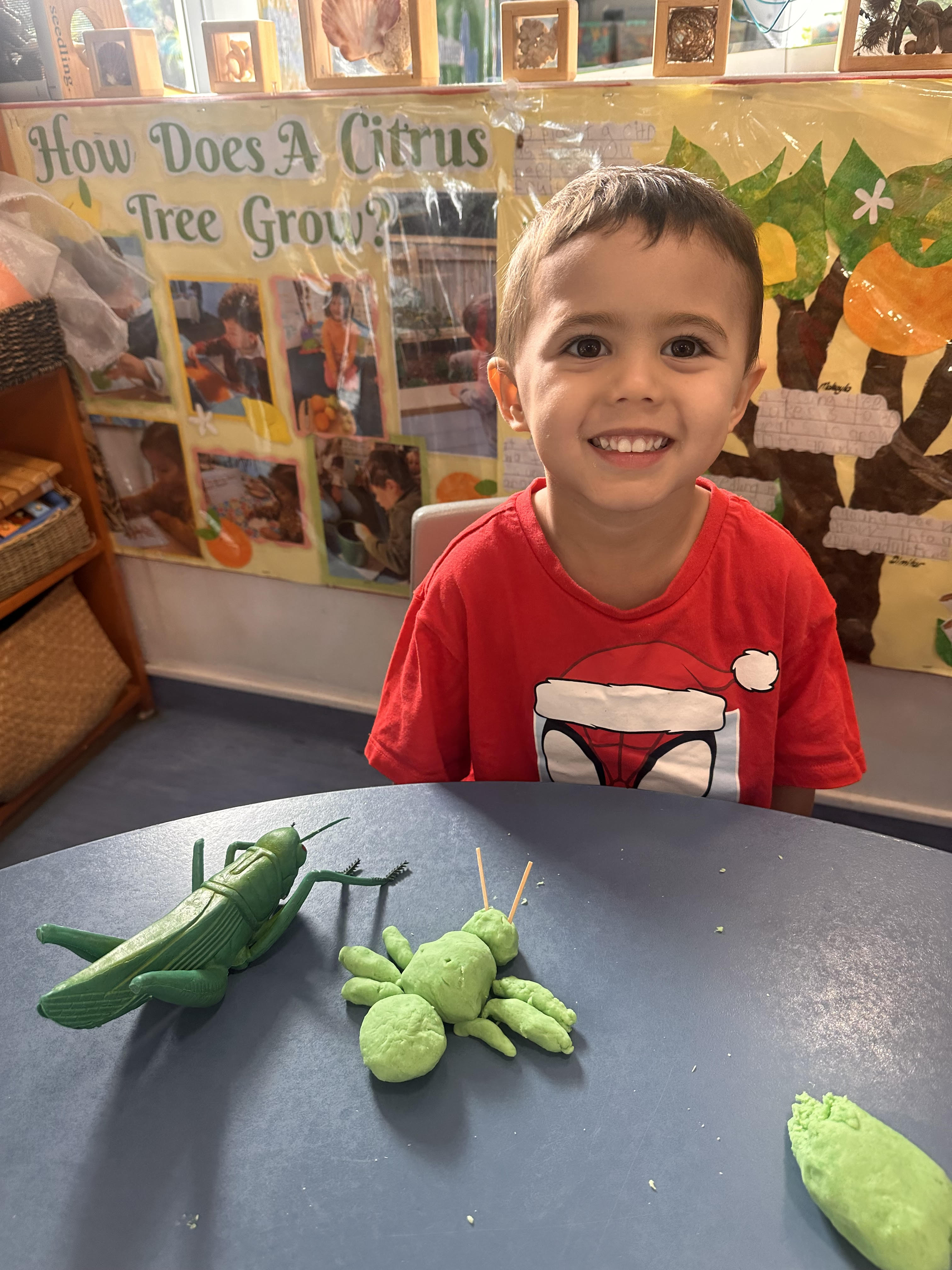 Our Vibrant Green Insect Models