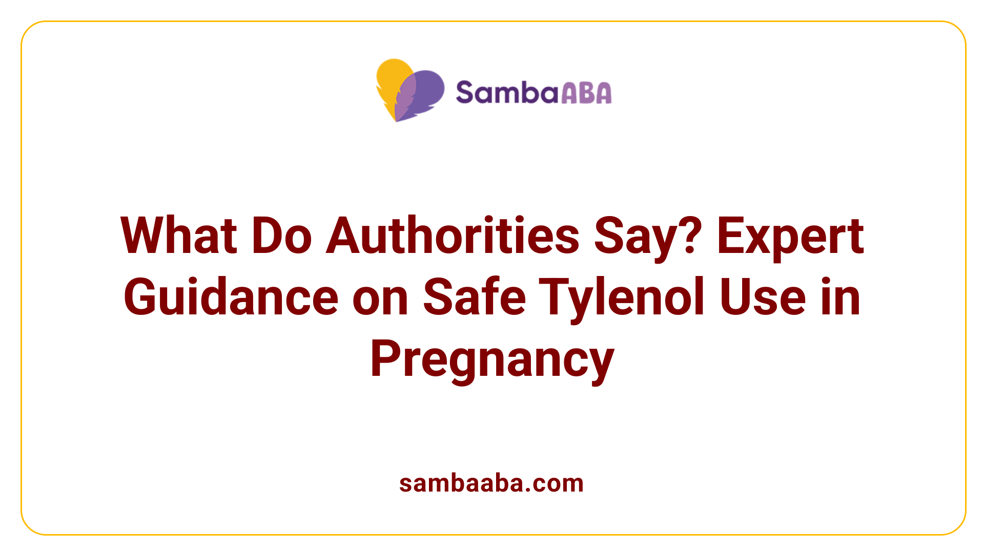 What Do Authorities Say? Expert Guidance on Safe Tylenol Use in Pregnancy