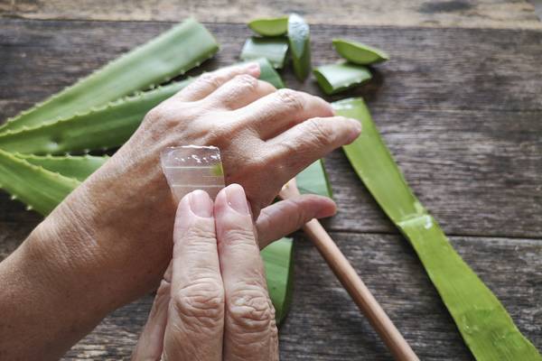 Aloe vera is a treatment that can get rid of age spots on hands.