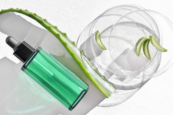 Aloe vera can increase collagen production in skin.