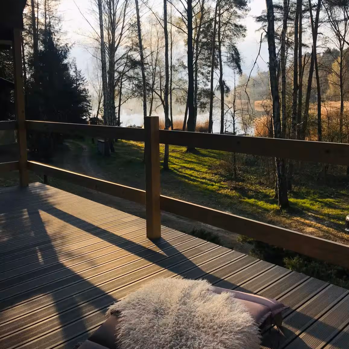 Blick vom Strategy House in die Natur am Morgen – hier entsteht Raum für neue Strategien und Ausrichtung.