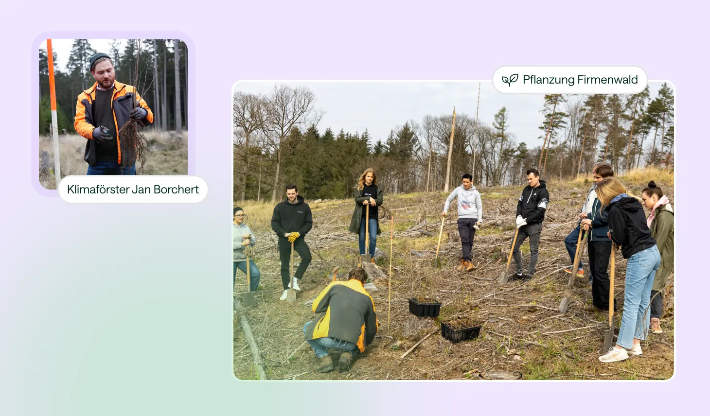 Gruppe von Menschen pflanzt Bäume in einem abgeholzten Waldgebiet, begleitet von Förster Jan Borchert mit Baumsetzling.