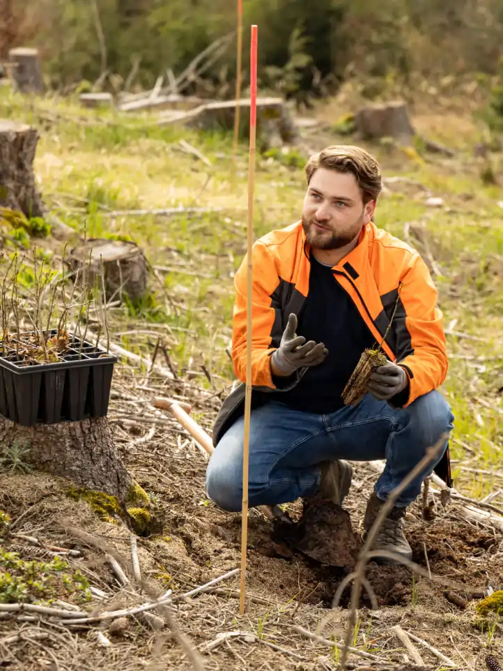 Jan Borchert, Planted