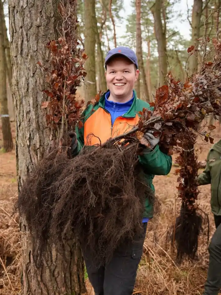 Leonhard Molitor, Planted