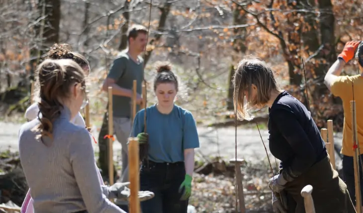 Gruppe junger Menschen arbeitet gemeinsam im Wald und pflanzt Bäume.