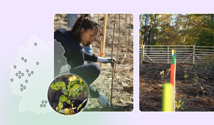 Frau pflanzt junge Bäume in einem Firmengelände mit markierten Setzlingen und einem natürlichem Holzzaun im Hintergrund.