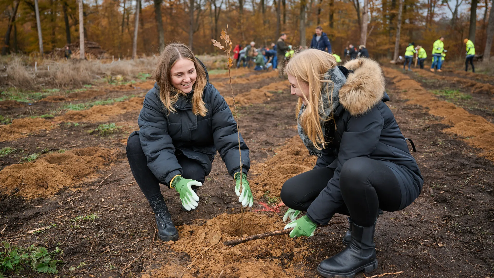Naturschutzprojekte fr Unternehmen | EmpCo-konform | Planted