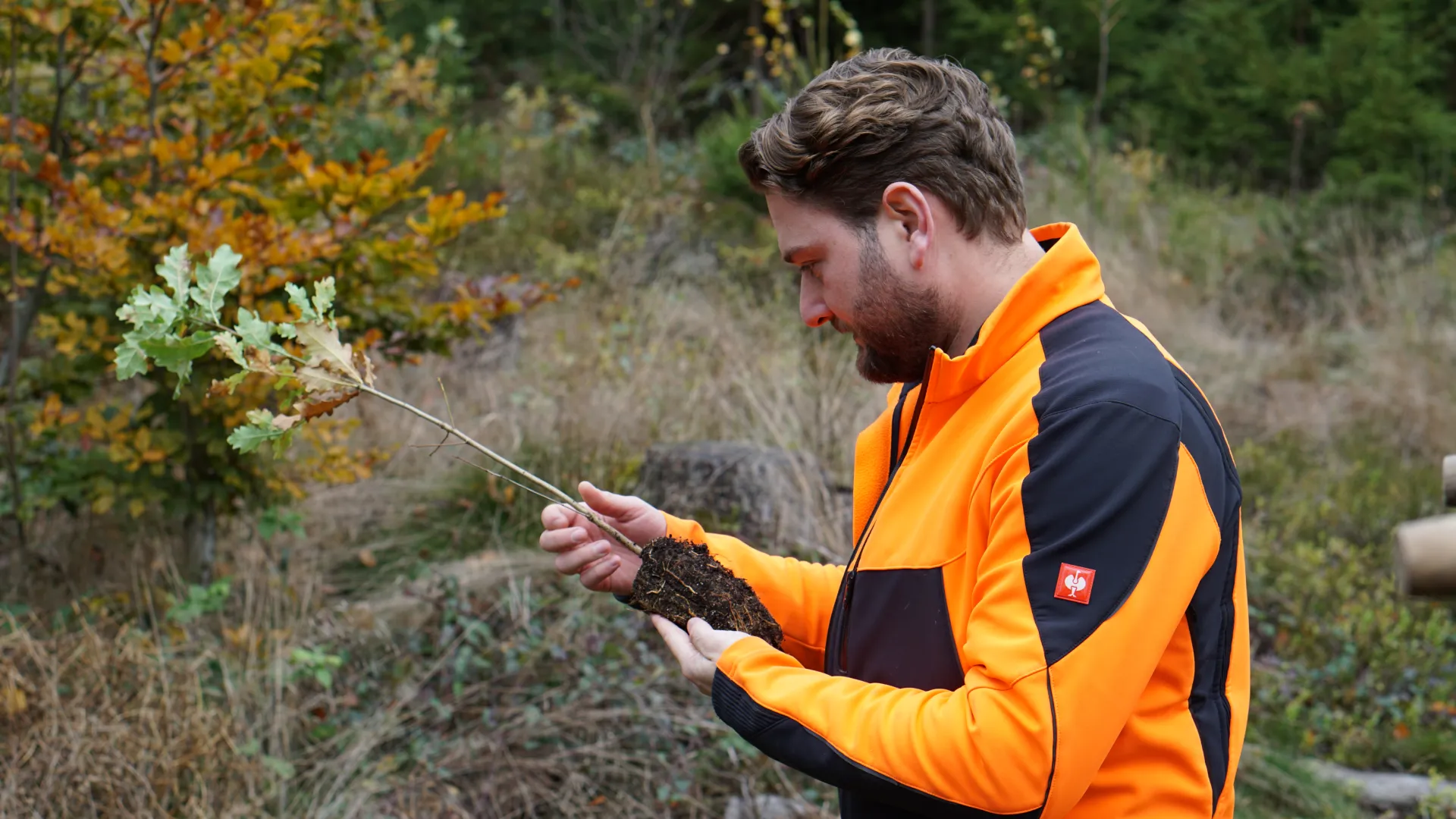 Naturschutzprojekte fr Unternehmen | EmpCo-konform | Planted