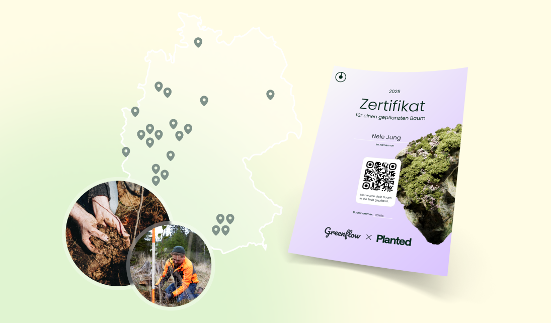 Karte von Deutschland mit Baum-Pflanzstandorten, Pflanzurkunde, Fotos von Baumsetzling und Pflanzer.