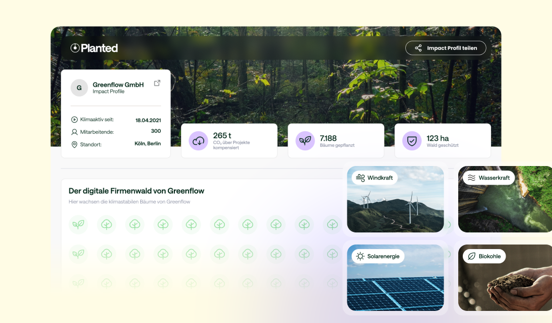 Impact-Profil von Greenflow GmbH zeigt CO2-Kompensation, gepflanzte Bäume und geschützte Waldflächen in Deutschland.