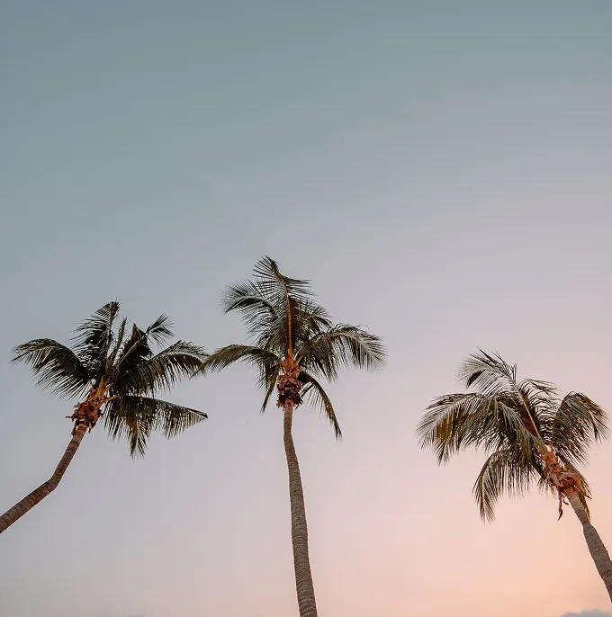 About Single Image  01