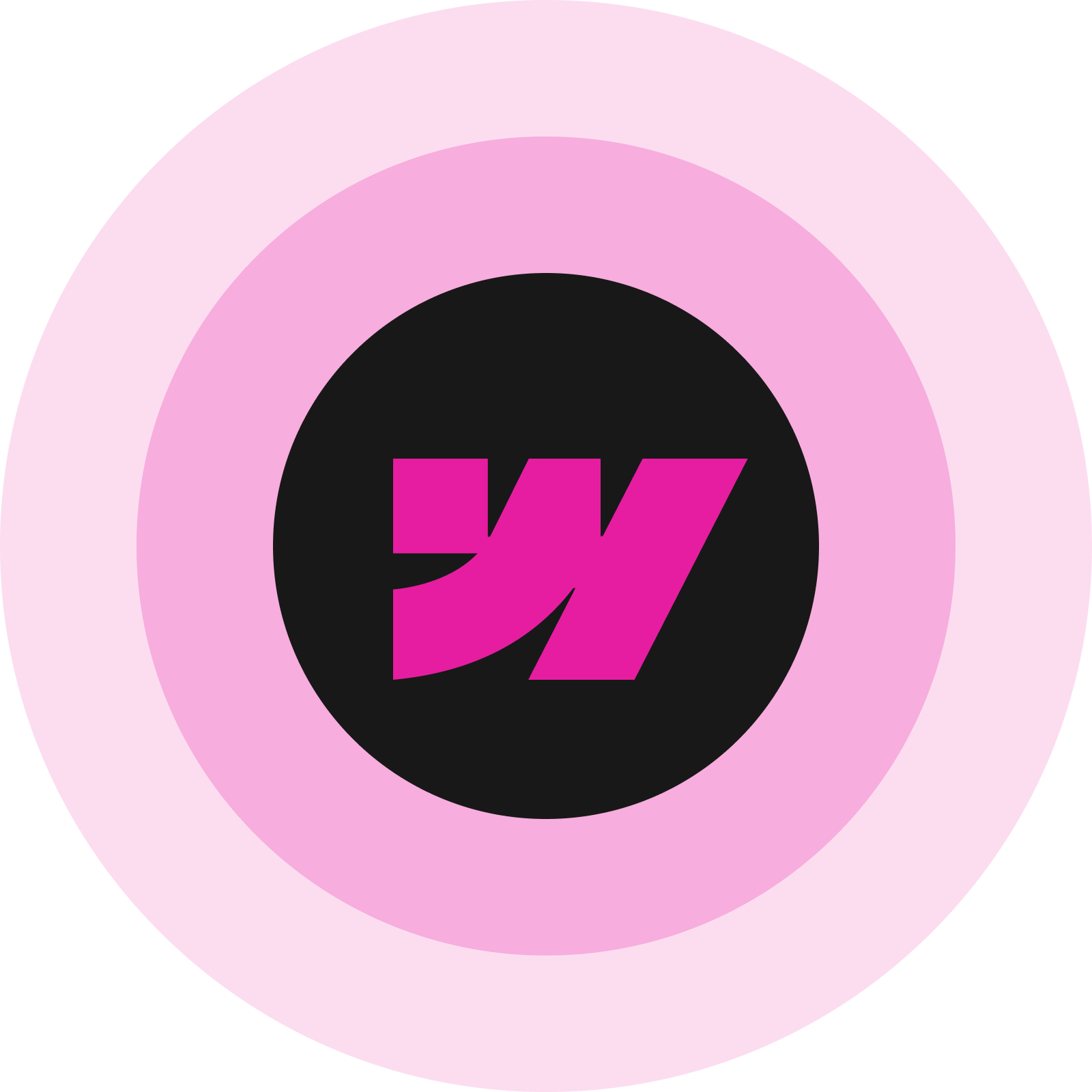 Webflow Development