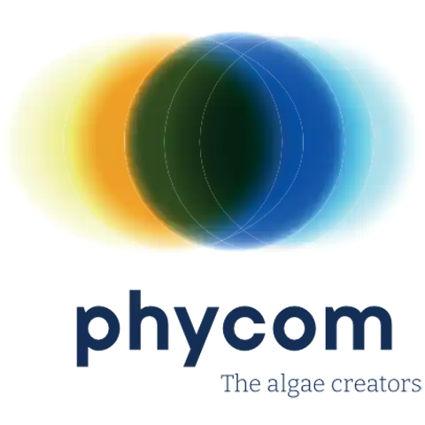 StudioFava - Collaboration with Phycom