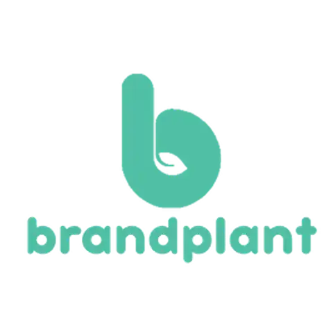 StudioFava - Collaboration with Brand Plant