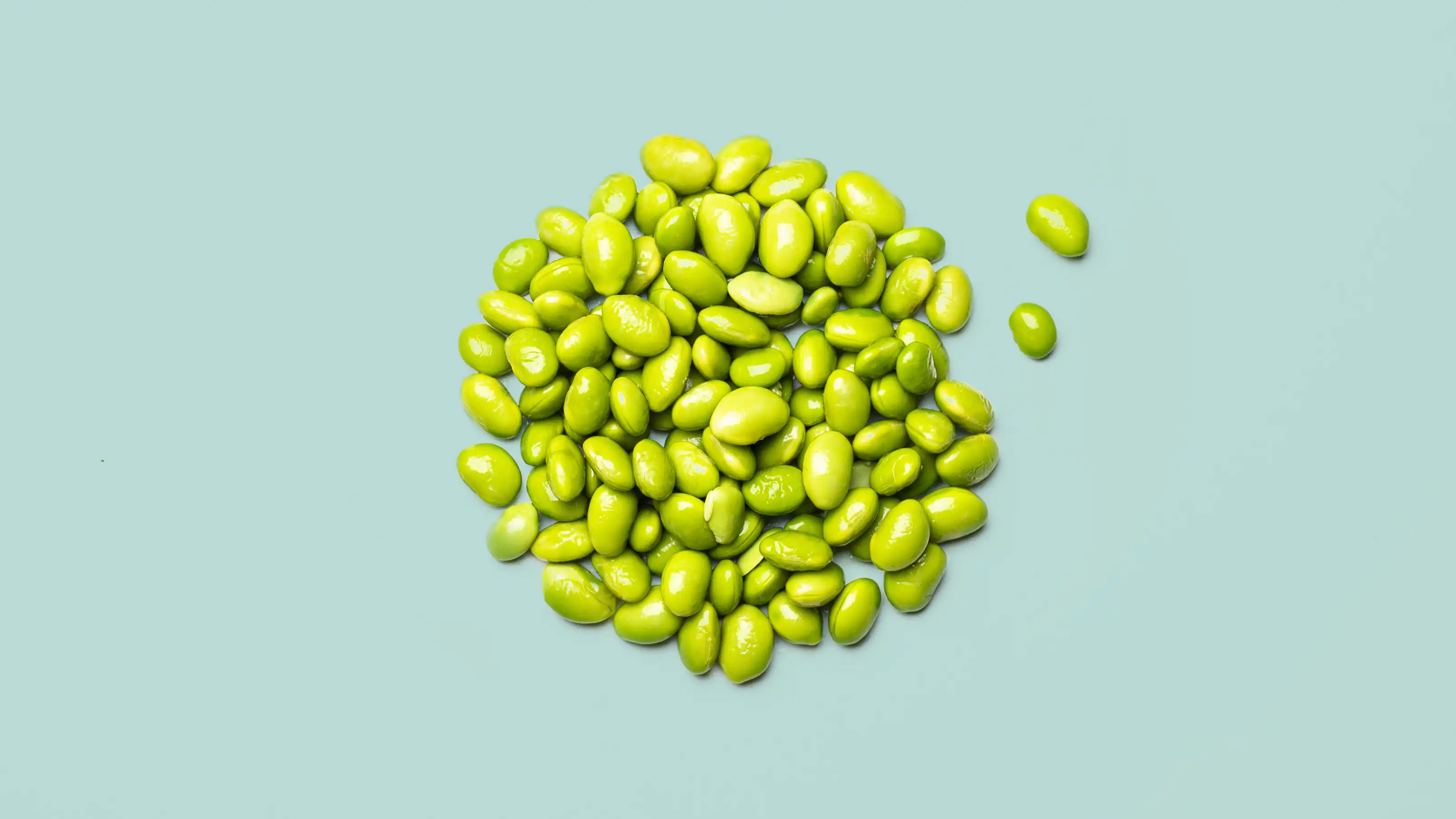 StudioFava - Future food development - beans