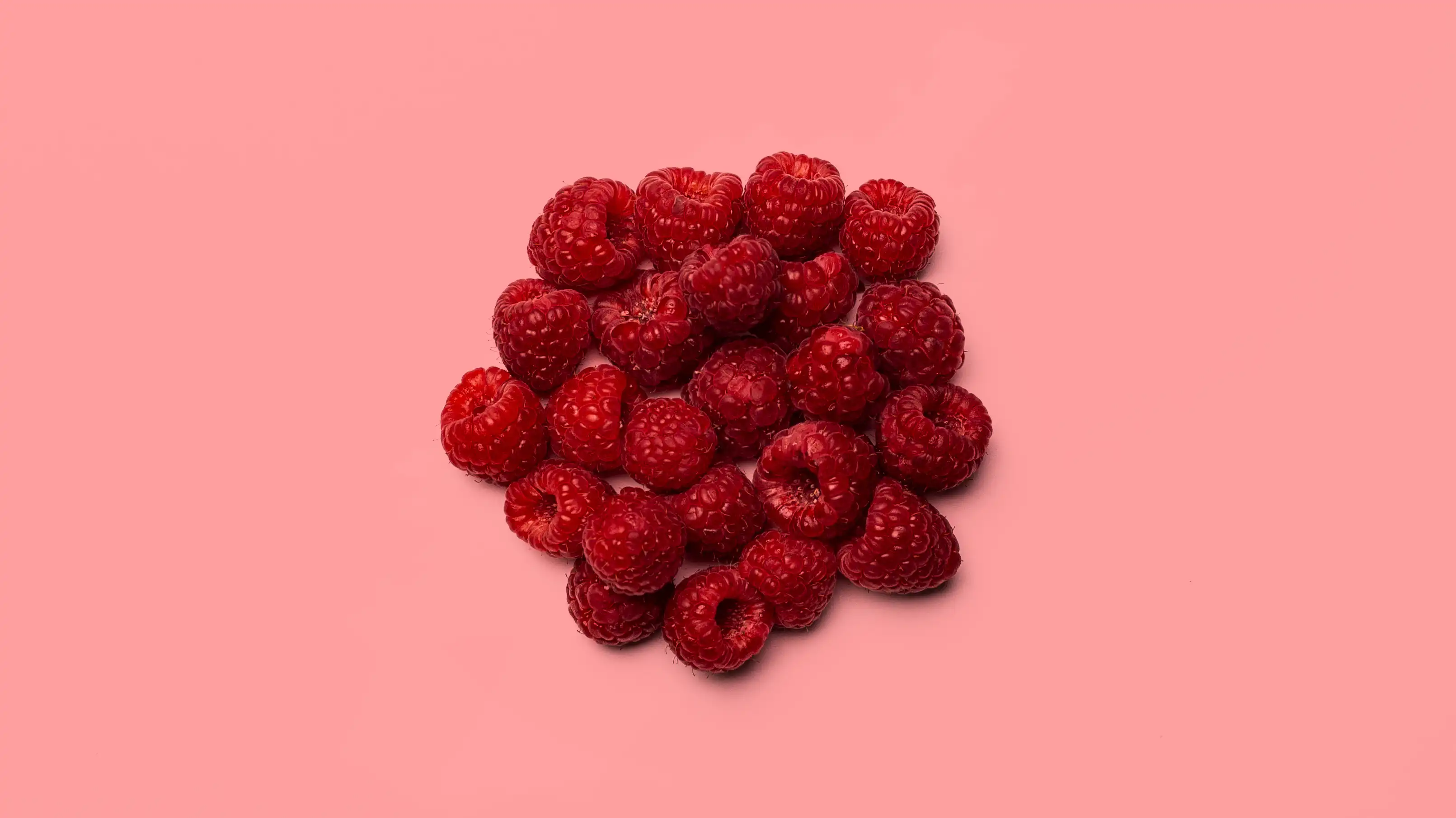 StudioFava - Future food development - raspberries