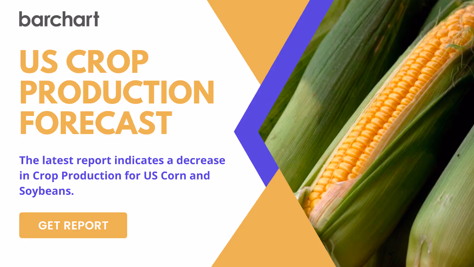 Diving into the Data: Barchart's June 2023 Crop Production Forecasts