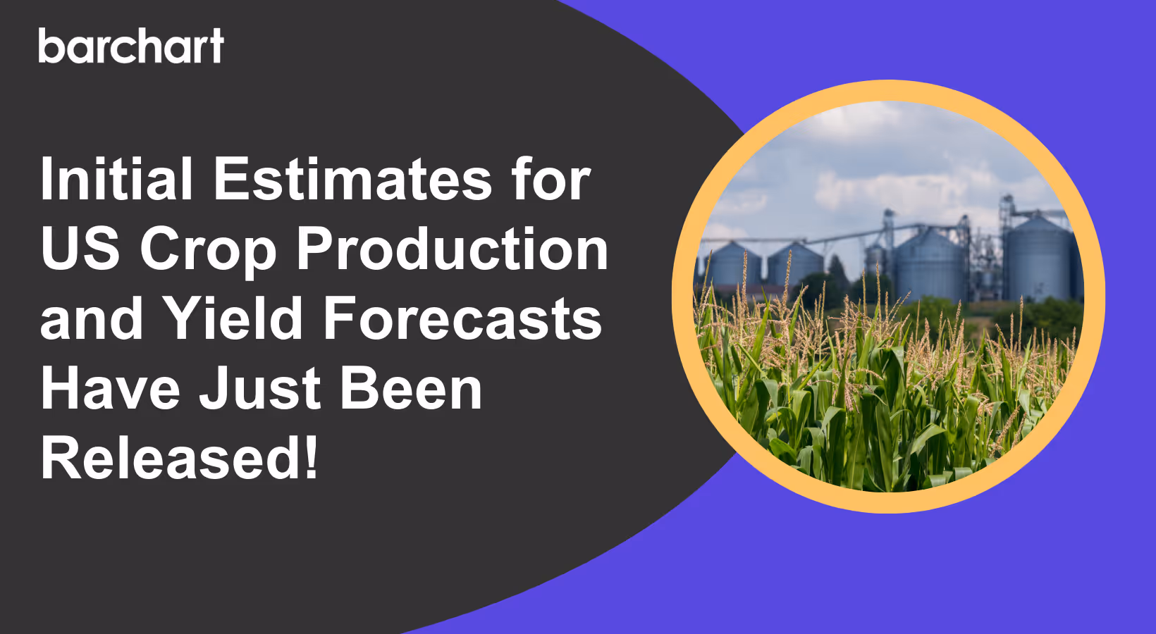Initial Estimates for US Crop Production and Yield Forecasts Have Just Been Released!