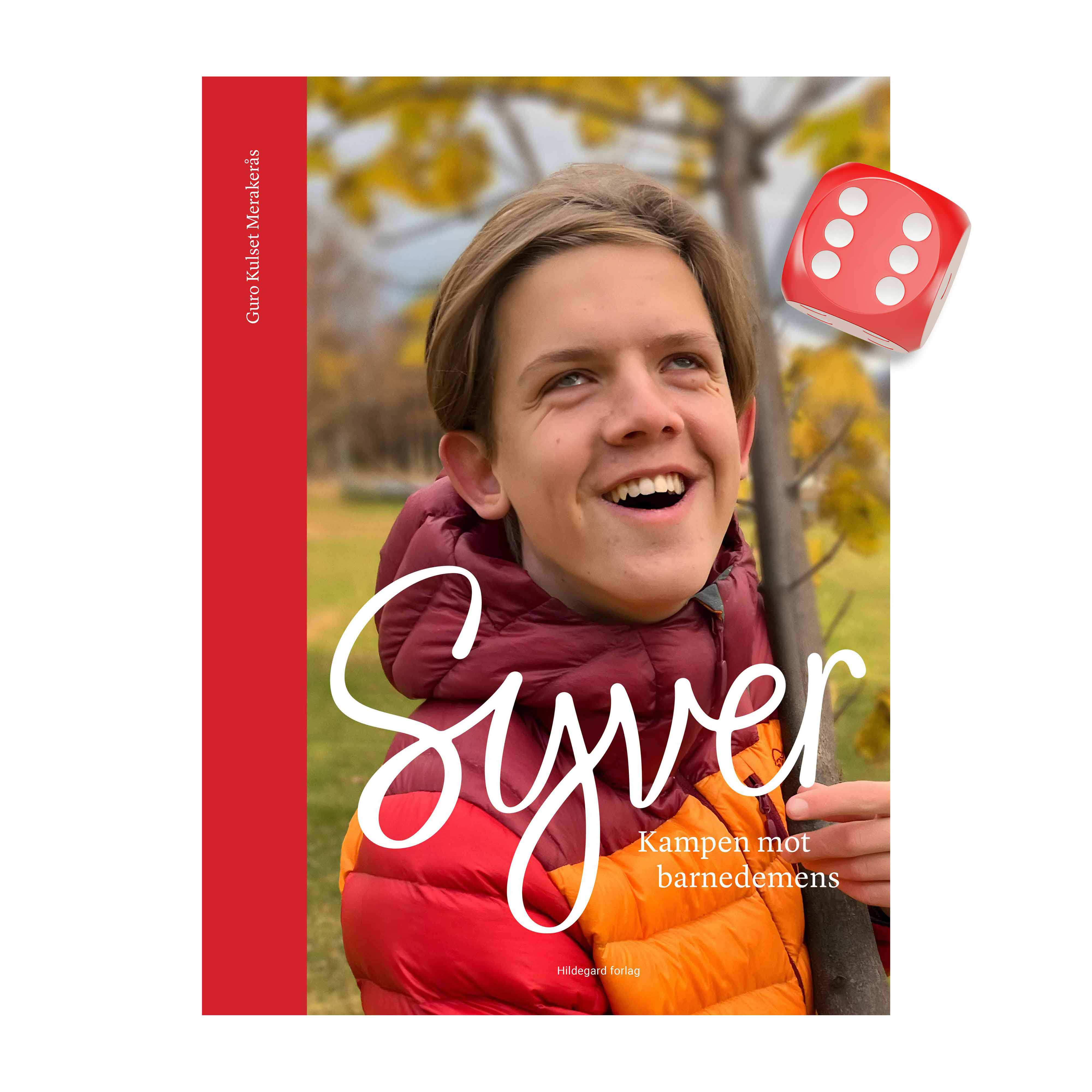 Bilde av bokomslaget til boka Syver