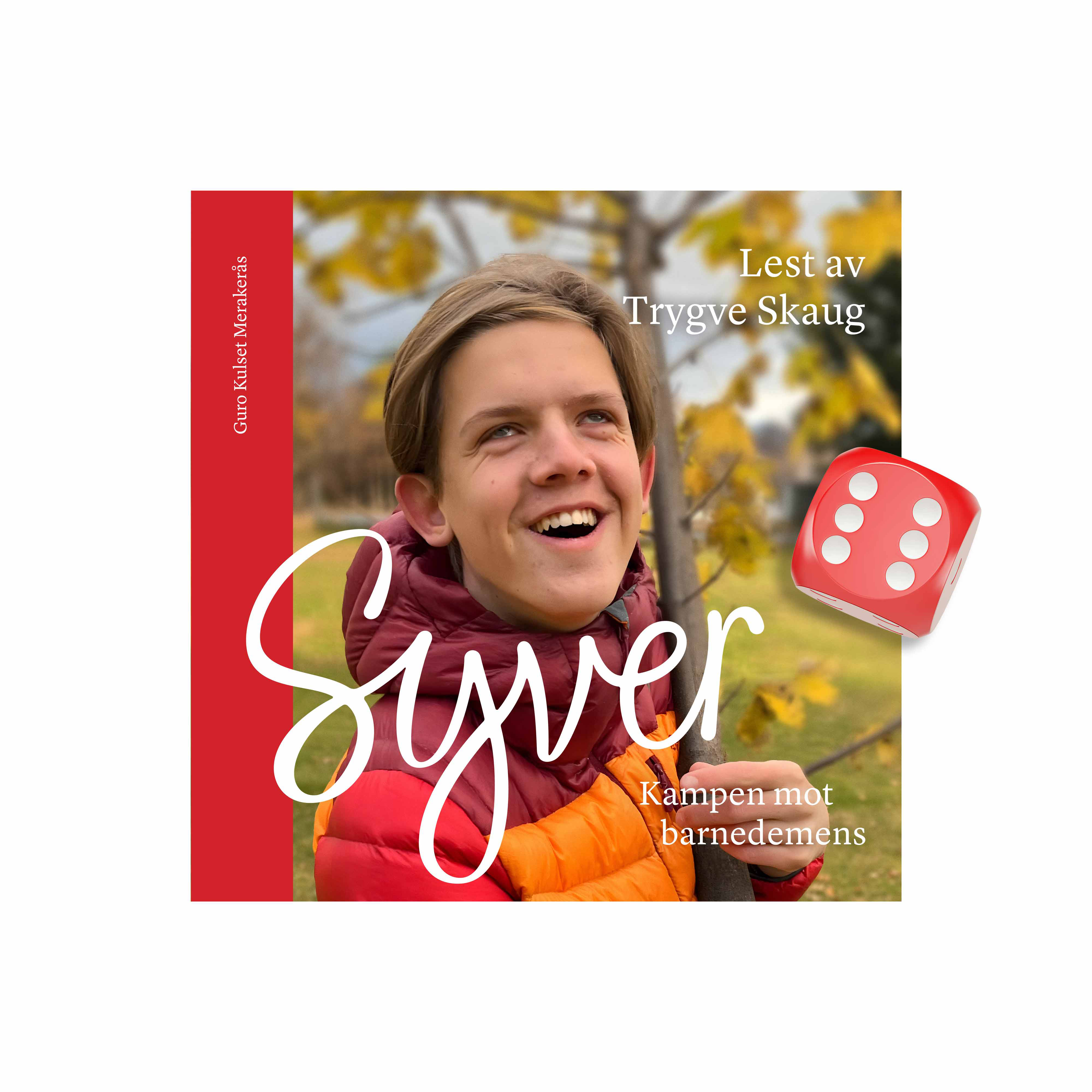 Bilde av bokomslaget til boka Syver