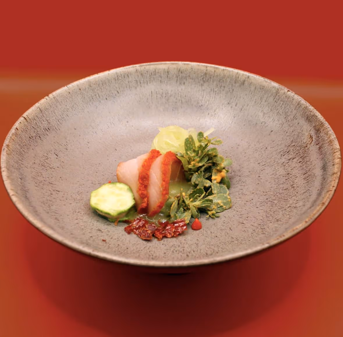 Three slices of fish with red seasoning, a cucumber slice, greens, and red garnish arranged in a large shallow bowl on a red background.