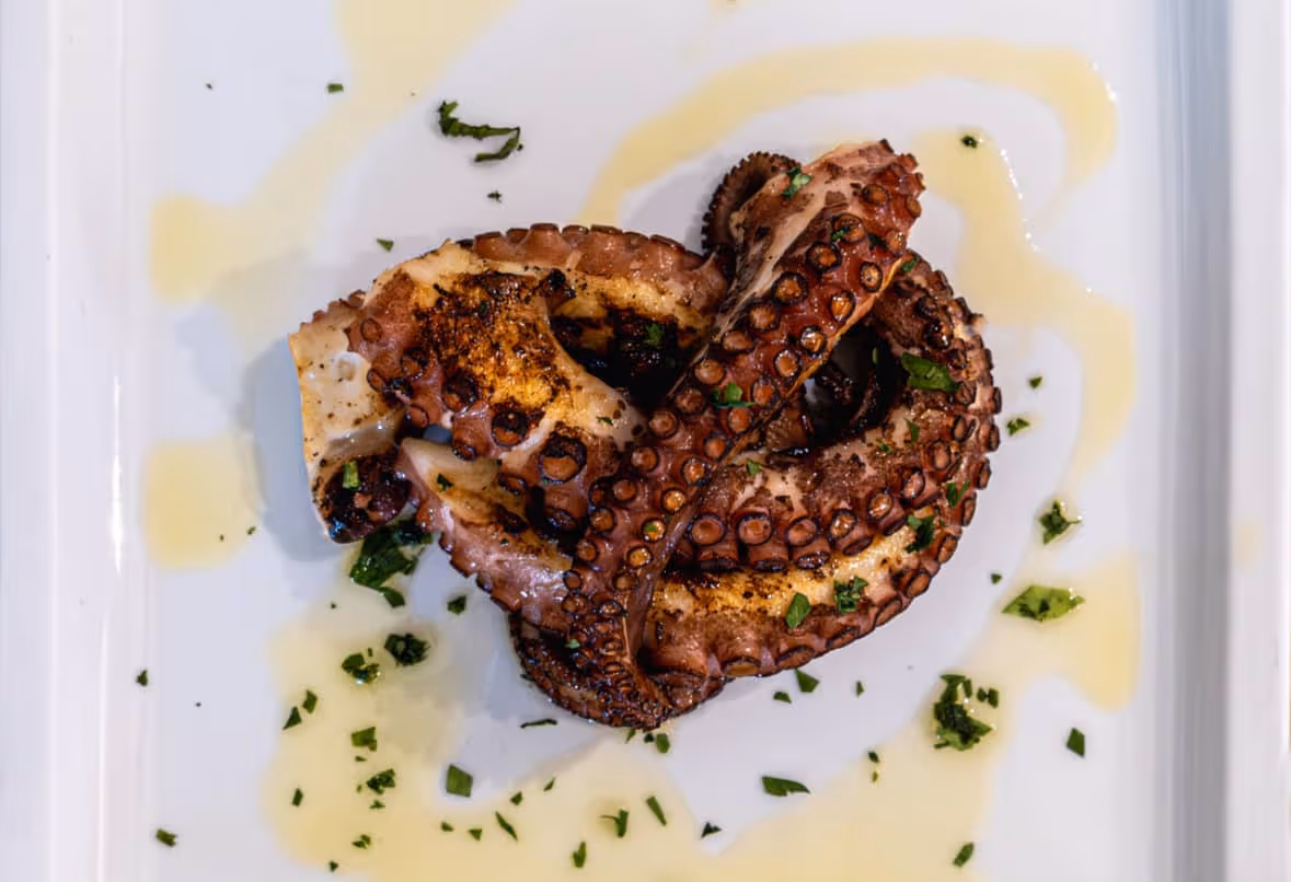 Grilled octopus tentacles garnished with chopped herbs and drizzled with olive oil on a white plate.