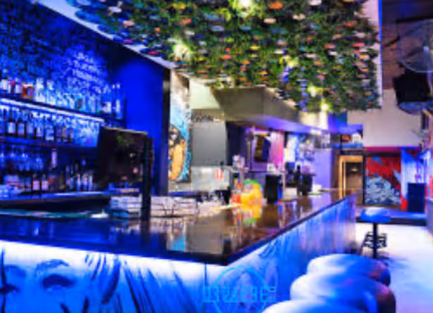 Modern bar interior with glowing blue counter, stools, and a ceiling decorated with hanging plants and lights.