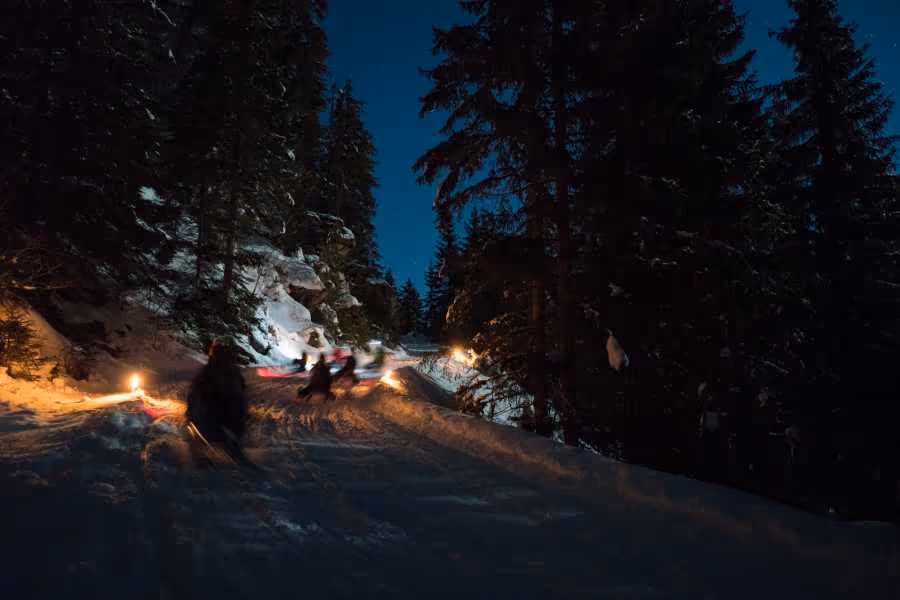 People sledding down a snowy slope at night in a forest illuminated by small torches.
