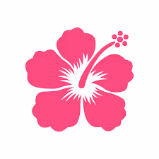 Stylized pink hibiscus flower icon with five petals and prominent stamen.