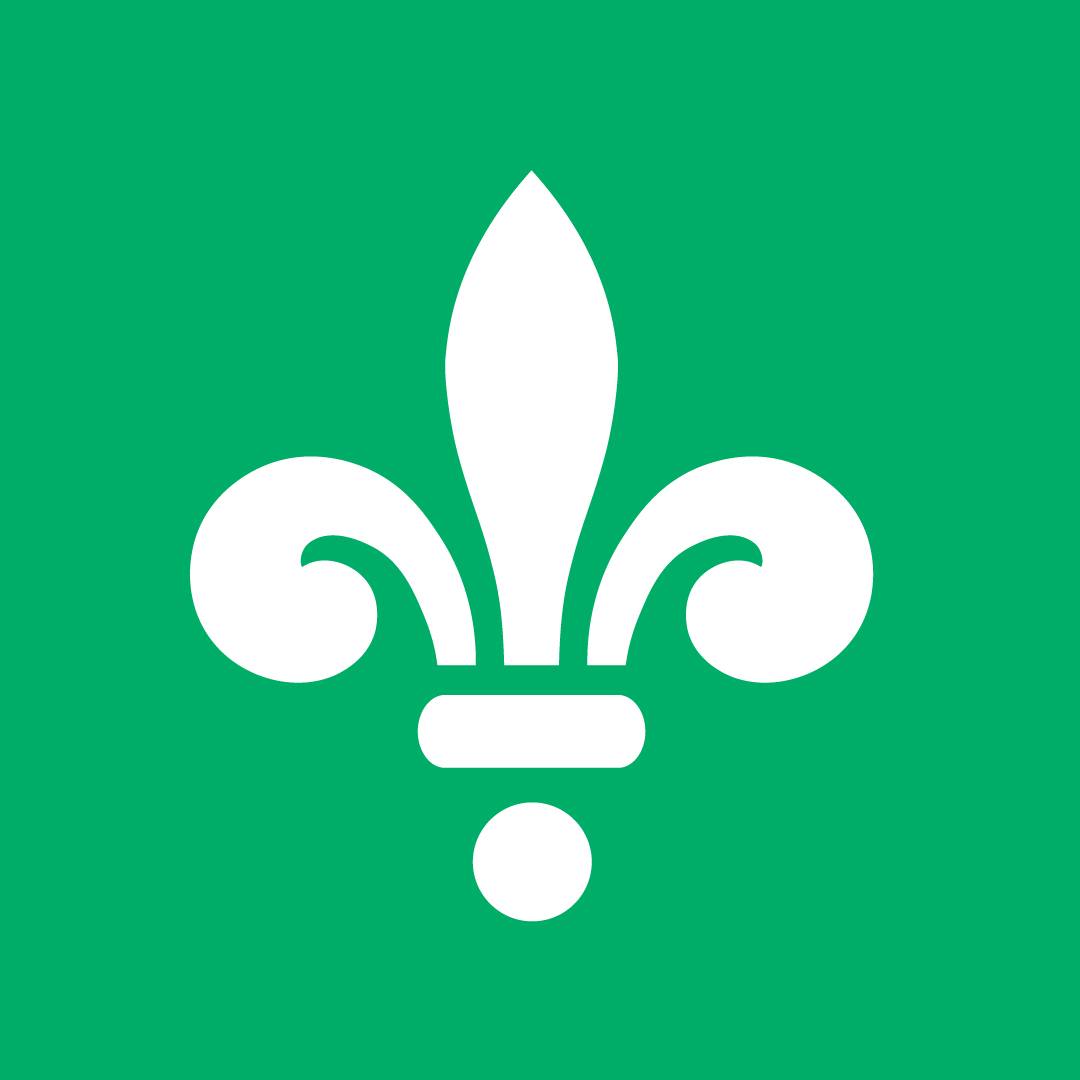 White fleur-de-lis symbol centered on a green background.
