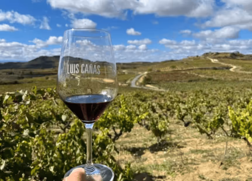 Wine glass with red wine held up against a backdrop of a sunny vineyard landscape under a partly cloudy blue sky.