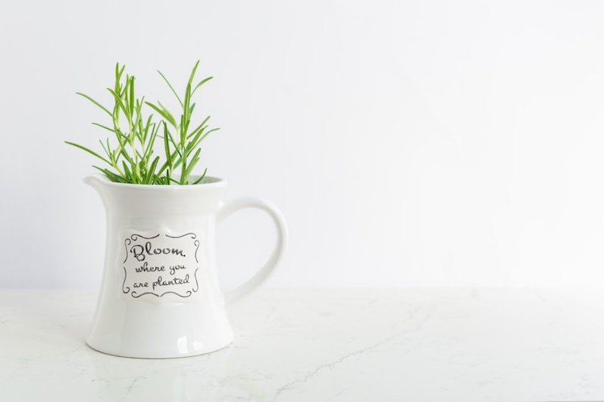 rosemary