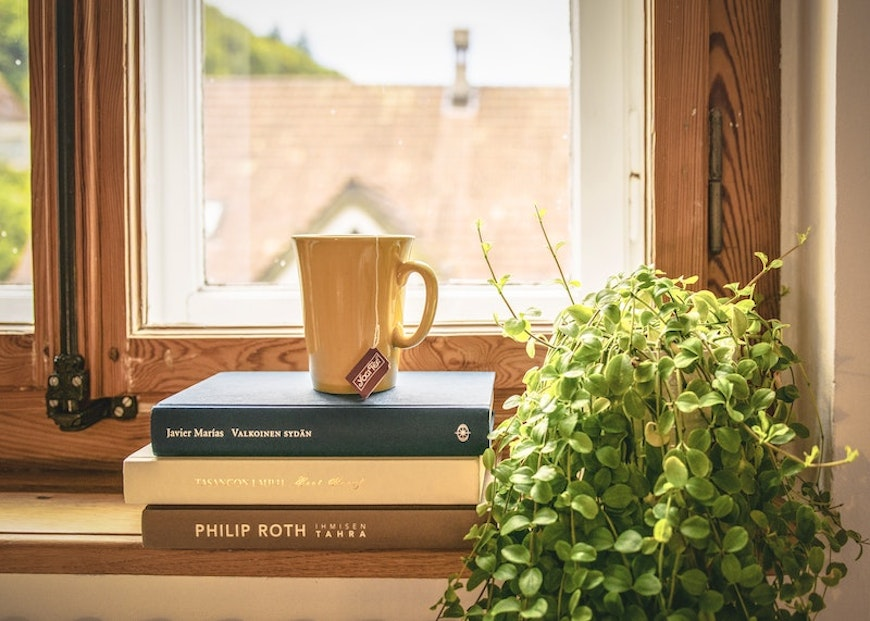 tea, books, and plant