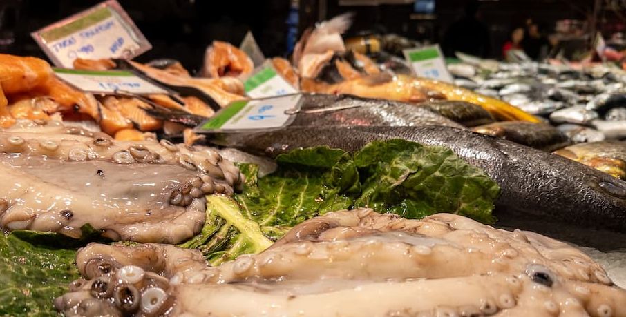 Display of raw seafood to buy at a market