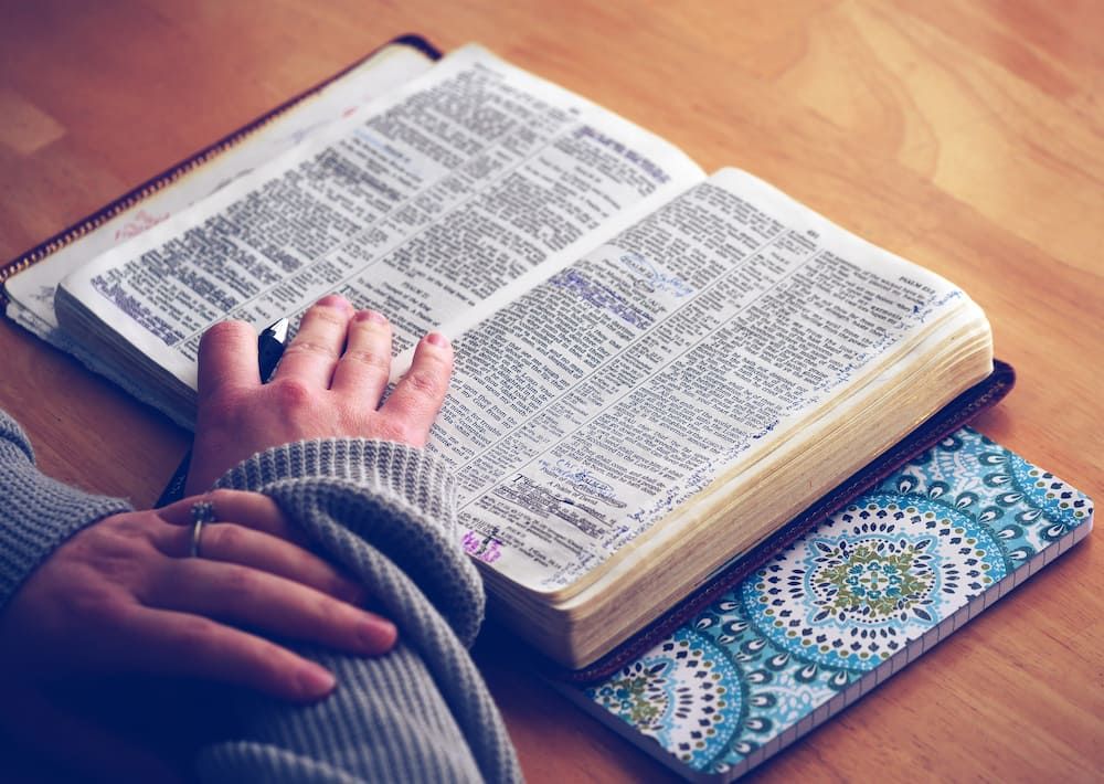 Person learning words in dictionary