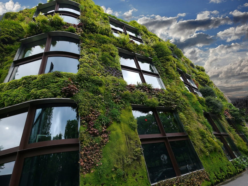 plants on building
