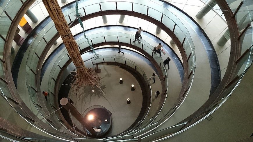 Pasarela en espiral con un árbol creciendo en el centro, en el CosmoCaixa