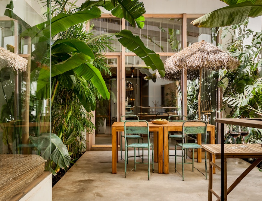 jungle house