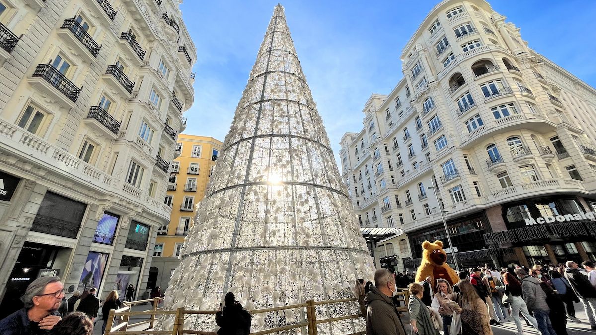 christmas tree in sol