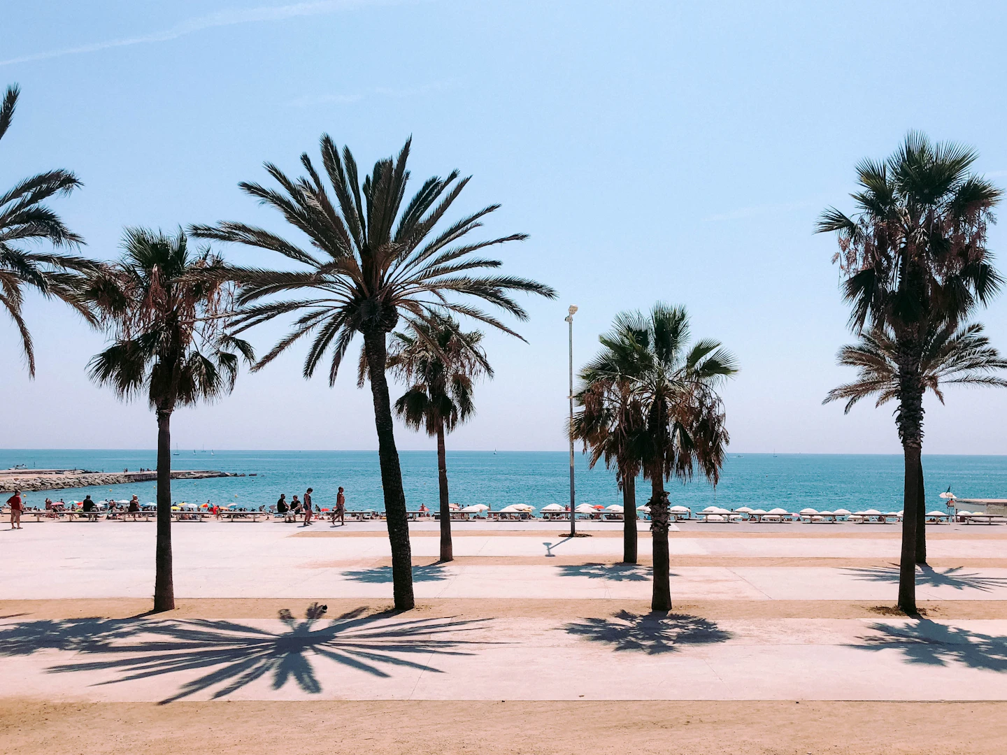 playa de Barcelona con árboles