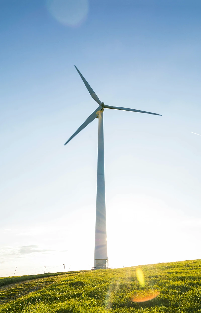 Pala eolica su una collina verde illuminata dal sole, simbolo di energia pulita generata dal vento.