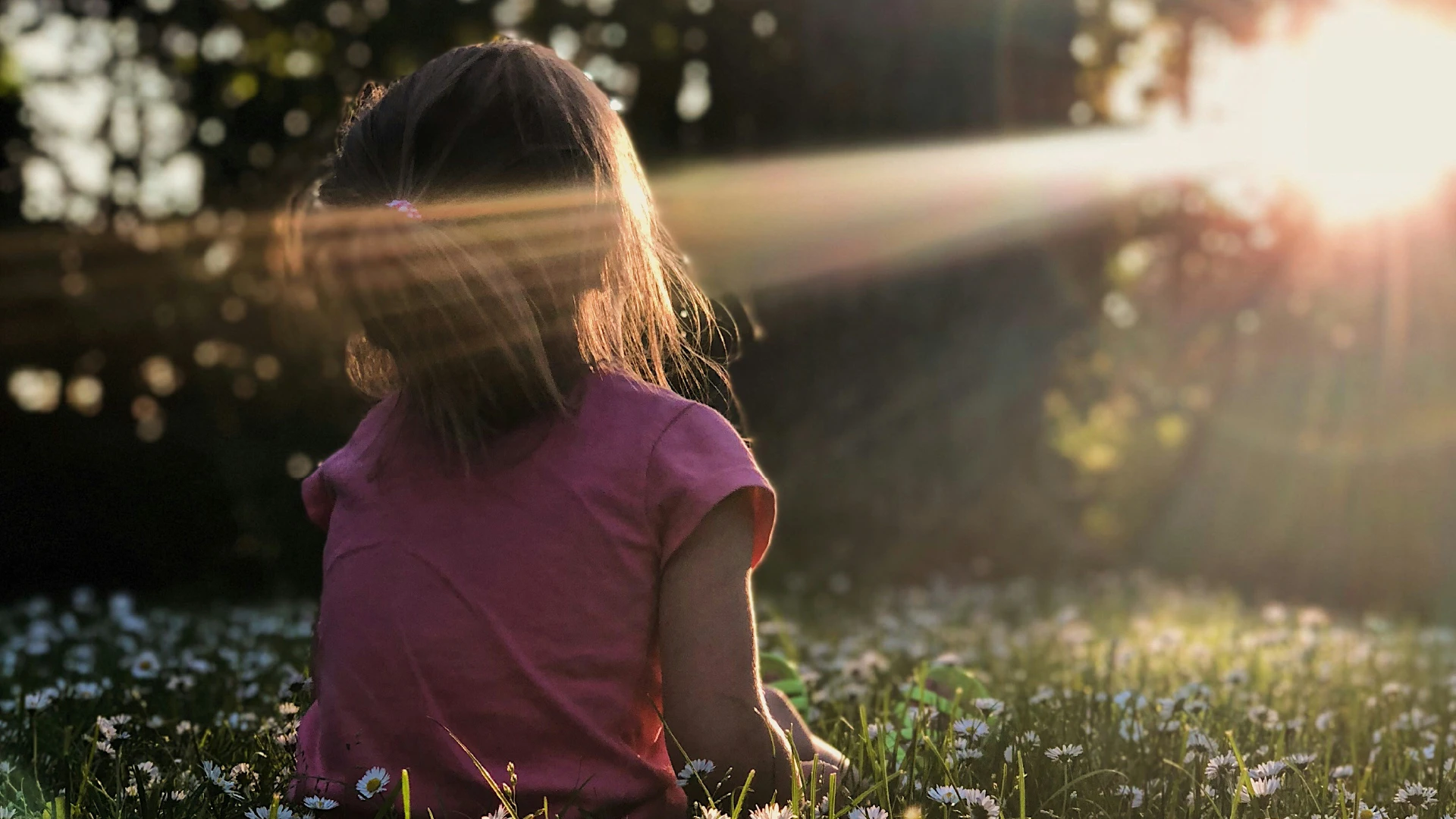 Bambina di spalle seduta tra le margherite, illuminata dai raggi del sole al tramonto.