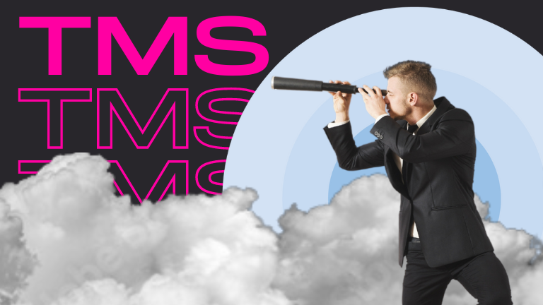 Can Your Business Thrive Without a TMS?