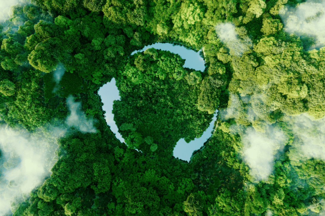 Carbon-Negative RNG & the Future of Supply Chains