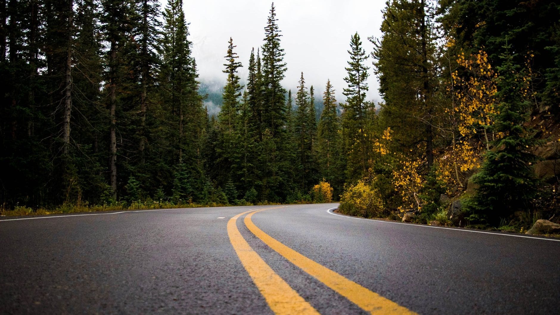 How 3PLs Use Visibility to Serve Customers